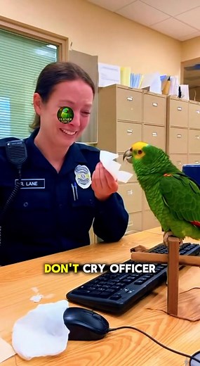 Rio came back with strong dialogue 😂 #funnyvideos #PetsOfTikTok #parrot #funnyparrot #talkingparrot | Green room podcast