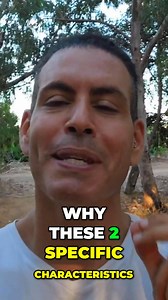 See full video in youtube.com/maorray Discover the Dalai Lama's insights on two essential characteristics of a spiritual person: modesty and general empathy. We explore why these traits are vital for personal and spiritual development, enhancing our connections with ourselves and others. #SpiritualGrowth #DalaiLama #Modesty #Empathy #PersonalDevelopment #Mindfulness #SpiritualAwakening #SelfImprovement #Wisdom #CharacterTraits | Ray Maor - Spiritual Evolution Now