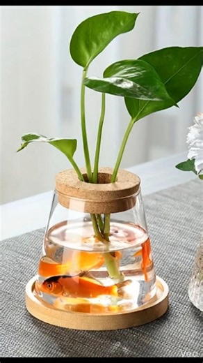 ¿Peces y plantas en el mismo frasco? 🌿🐟 #Acuaponía #hidroponia #arranjofloral
