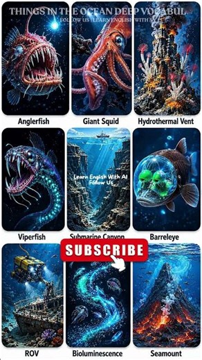 9 English Words From The Deepest Darkest Ocean 🦑
