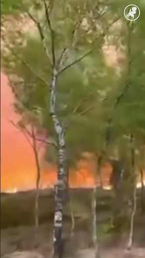 🔥Grote BRAND Veluwe, rook van ver te ZIEN en te ruiken | Hart van Nederland