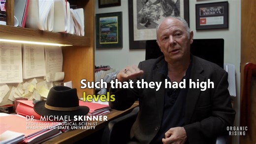 4.9K views · 136 reactions | ORGANIC RISING - Demystifying Organic...