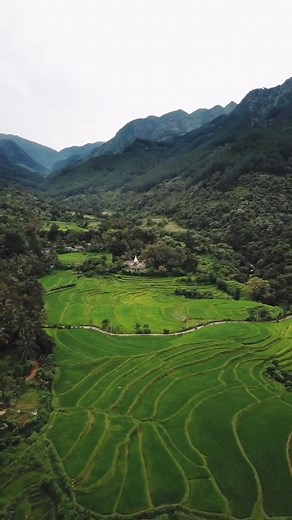 Captivating Symphony: Sri Lanka's Breathtaking Paddy Fields from Above 🌾✨ Video Credit - @__d_il.xcvll__ #Breathtaking #PaddyFields #tourism #travel #reels | Look Lanka