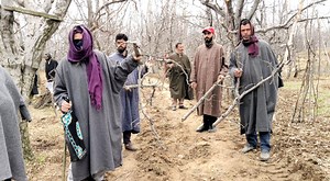 Local Residents of Dangam shopian alleged some miscreants was cutting apple trees during night hours and make illegally way with out any consent or any notice Now they appealed to district administration and Revenue department interven in this matter as per law take action against them strictly....#dcshopain Watch Full Video Youtube Channel Link 👇 https://youtu.be/xkFamBvzKOA?si=KfU_ccxrlphYRi1K Report Sadath Ah Khanday | The Shopian Gazette