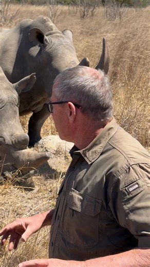 Communication between rhino is wonderful to hear - and let me show you more about their ears! | Ivan Carter