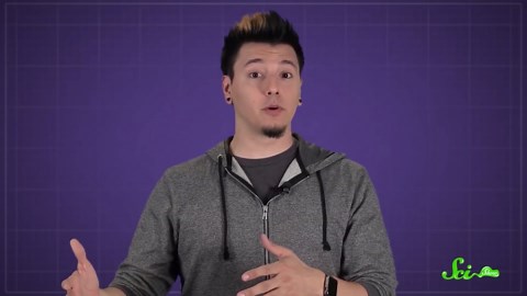 This One’s for the Birds: Your Bird Questions, Answered | Compilation