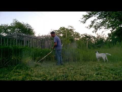 Husqvarna 322L String Trimmer in Action.