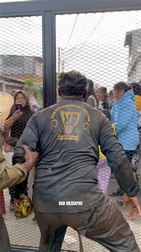 Luckily the gate was closed so the kudalumping couldn't enter‼️