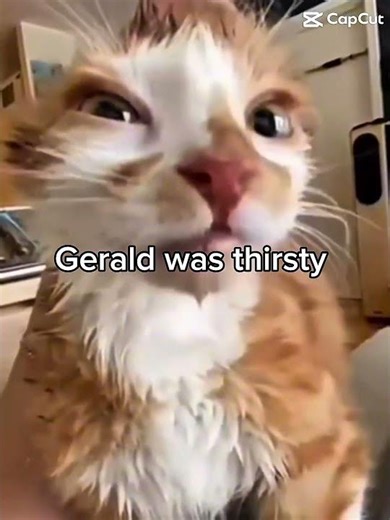 #animedance #fnaf #mlps #artist #edit #mylitlepony #composer #cake #musician #fivenightsatfreddys