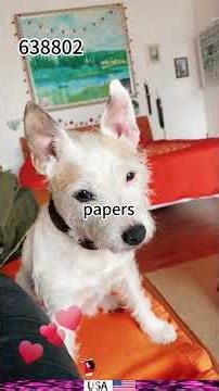 Tap the link in my bio to get full story#Female-oriented #torturous #pretendingtobepoor #fyp #usa