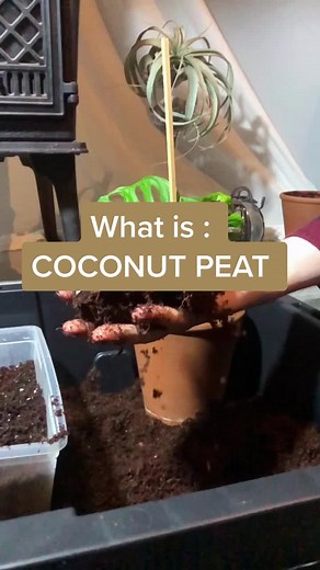 Understanding Coconut Peat: Benefits and Uses