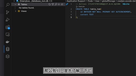 SQL入门01 运行环境搭建与Sqlite插件安装指南