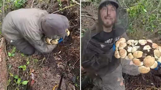 Skin-crawling video shows python hunter remove clutch of 60 eggs from Florida Everglades