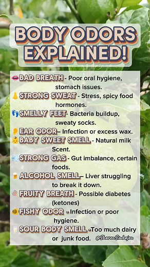 Body ODORS explained 👄👂👣#bodyodor #Explained #healthylifestyle #healthcare #fypシ゚viralシ #usahealth #Wellness #highlightseveryone #highlightseveryone #viralreelsfacebook #highlights #usa | Sharon Simbajon