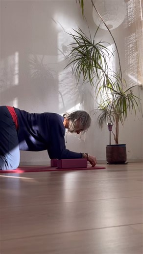 Ontlast je polsen Maak het comfortabeler als je schouders (nog) niet zo krachtig zijn YogaBlokken! Gebruik ze Stuur me een DM en je krijgt de link om yoga blokken met korting te kopen #vijftigplus #polsen #schouders #yoga #catcamel of toch #catcow | Renée Stroo