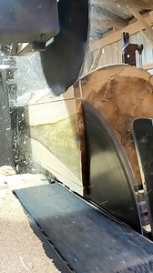 This is the entire 32 inch Shakey log being milled. I have to vary my normal edger work a tad to accommodate for the separation of grain. We currently have the edger tore apart, and I plan on putting up videos of its repair next week. I’ll hit 80,000 followers this evening! Thank you everyone who watches and shares the videos. #share #satisfying #wood #asmr #Sharp #lumberjack | Sawyerpool95