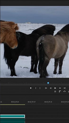 How to ROTATE Clips in Premiere Pro #shorts
