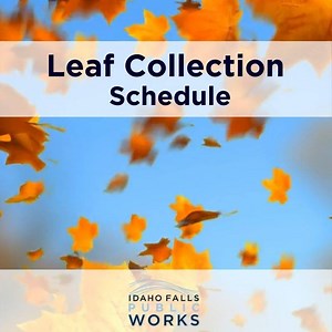 11 shares · 6 comments | Leaf collection begins Monday, Oct. 19!...
