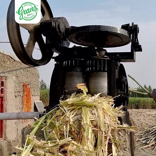 Watch how Desi Gurr & Shakkar are made naturally, without additives or chemicals. | Grans