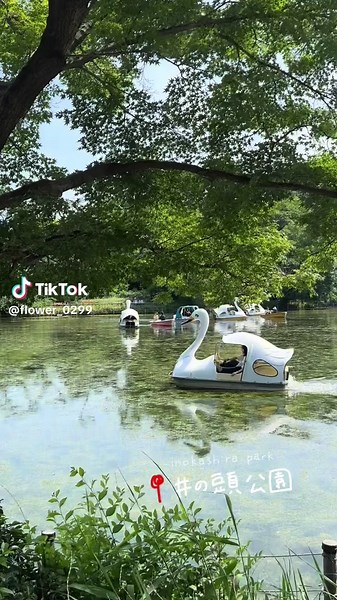 吉祥寺の魅力を散歩で発見🍃