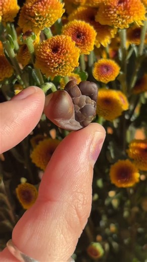 Ancient Healing | Fire agates 🔥 forged in the volcanic fire energy of the Earth 🔥 mined in Arizona, USA Fire agates are a unique botryoidal chalcedony that... | Instagram