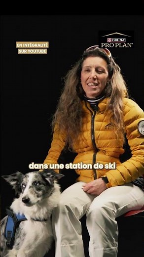 Marine forme Sia, sa chienne d’avalanche, au cœur des sommets ❄️🐾 #proplan #chien #ilmerendmeilleur