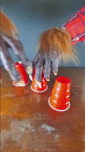 Shell Game Fun - Where's the cap?