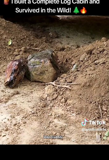 Building a Complete Log Cabin in the Wilderness