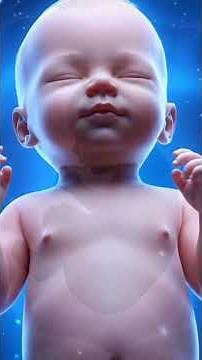 Pregnancy Week 27: The Third Trimester Begins! (3D Animation)#pregnancy #usa #week27