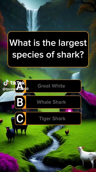 Explore Ocean Life with Our Sea Animals Quiz