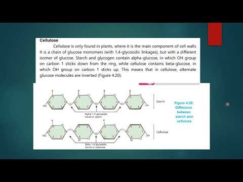 Polysaccharides| Ch 4| Class 11 New Biology