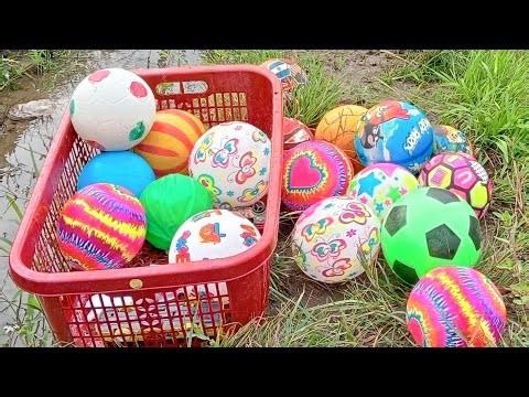 Funny Balloon and Ball Hunting 🎈🏀⚽