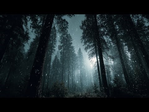 Forest Sleep Sounds (3 Hours) | Distant Forest Rain