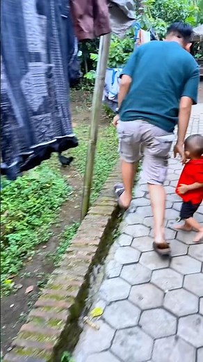 Father is chasing chickens.