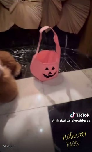 Videos de Miss Bali (@missbalivallejorodriguez) con “sonido original - Miss Bali”