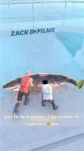 Why are millions of sharks killed every year?