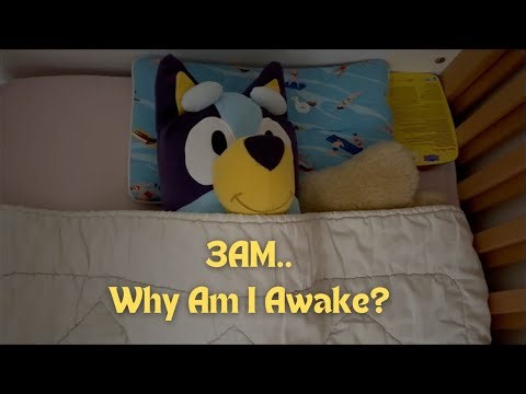 🌙 Bluey Wakes Up at 3am! What Happened Next? 🛏️