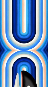 Orcas is now open! Explore the wonders of Orcas and their biological sonar awesomeness at this interactive exhibition. | Royal Alberta Museum