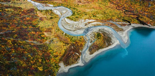 New unified theory shows how past landscapes drove the evolution of Earth’s rich diversity of life