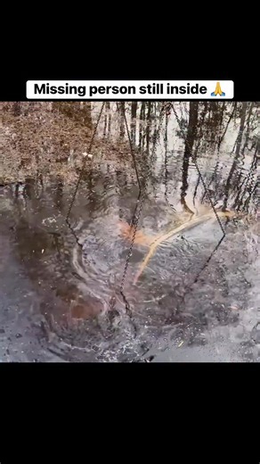Adam Brown Adventures on Reels