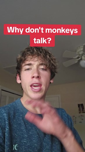 Why don't monkeys talk? #language #linguistics #speech #monkey #ape #primate #biology #anatomy #phonology #phonetics