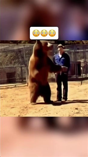 Bear Attacks It's Trainer During Photoshoot 🤯