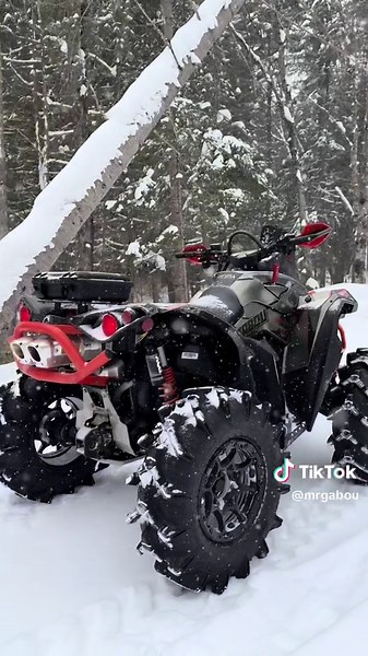 Summer is coming 🤩 #canam #renegade #xmr #1000r #rotax #brp #engine #rjwc #exhaust #cvtech #stm #clutch #tune #rvsperformance #stage3 #dynojet #esticky #summeriscoming #rusia #offraod