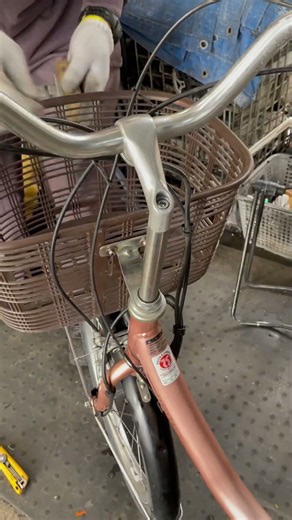 Front Basket Installation | Bridgestone Assista Uni E-Bike