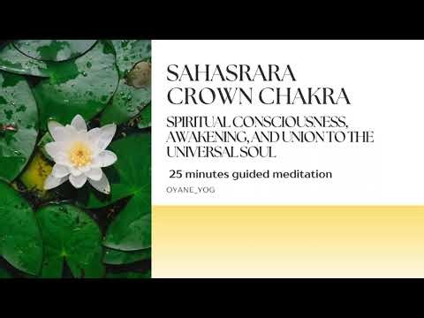 Guided Meditation – Crown Chakra: Spiritual Awareness, Awakening and Unity – 25 minutes