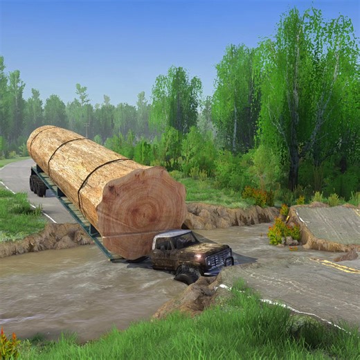 Most Dangerous Logging Trails Captured on Camera