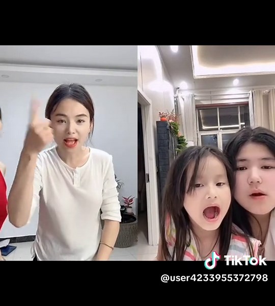 Understanding Chinese Sign Language for the Deaf Community