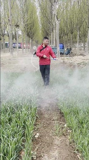 Sprayer with automatic hose rewinding, greatly saves manpower and labor costs#pump #sprayer