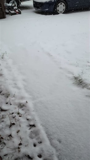 hey that was cold! snow is fast and hard today #snow #weather #ohio | ohio weather