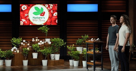 Nature’s Wild Berry on 'Shark Tank': Here's how you can buy berries that make everything taste sweet